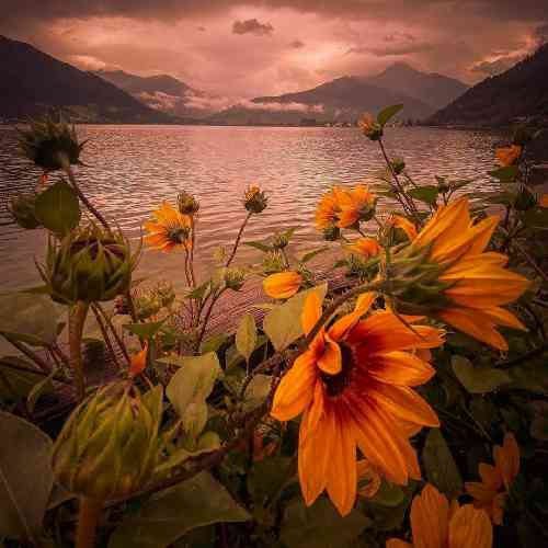 شروین حاجی پور برای گریه های بی وقفه